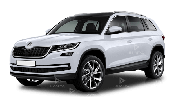 Диагностика бензинового двигателя Škoda Kodiaq в Красноярске