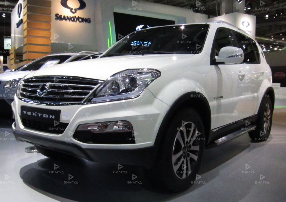 Диагностика бензинового двигателя Ssangyong Rexton в Красноярске