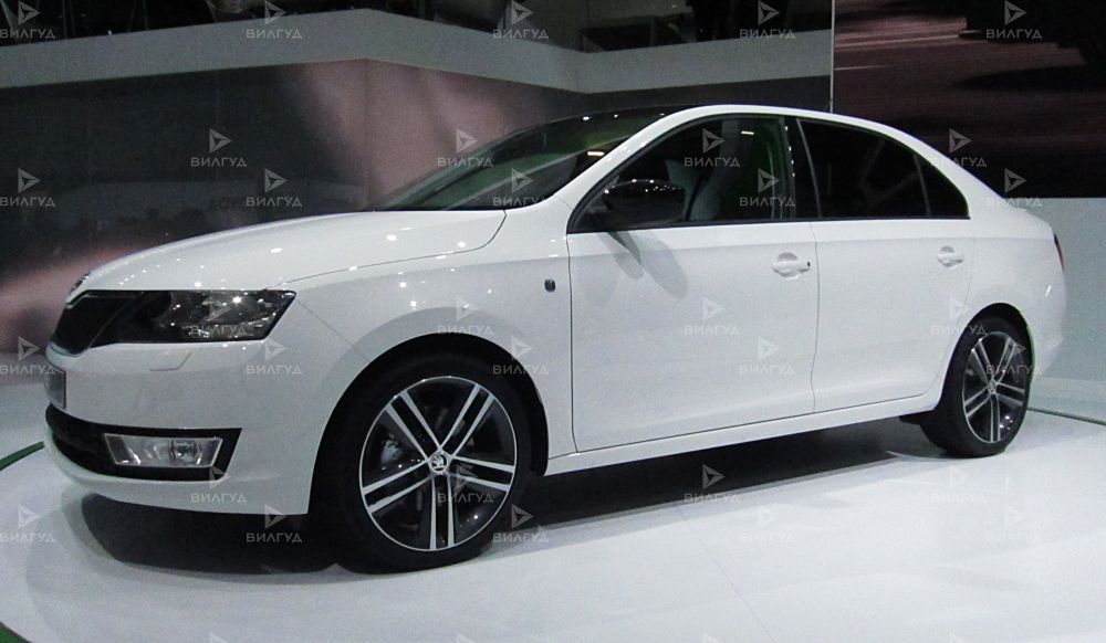 Ремонт дроссельной заслонки Škoda Rapid в Красноярске Ремонт дроссельной заслонки Škoda Rapid в Красноярске