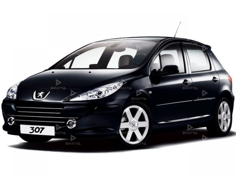 Замена бензинововых двигателей Peugeot 307 в Красноярске Замена бензинововых двигателей Peugeot 307 в Красноярске