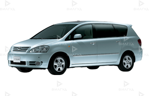 Замена погружного топливного фильтра Toyota Ipsum в Красноярске