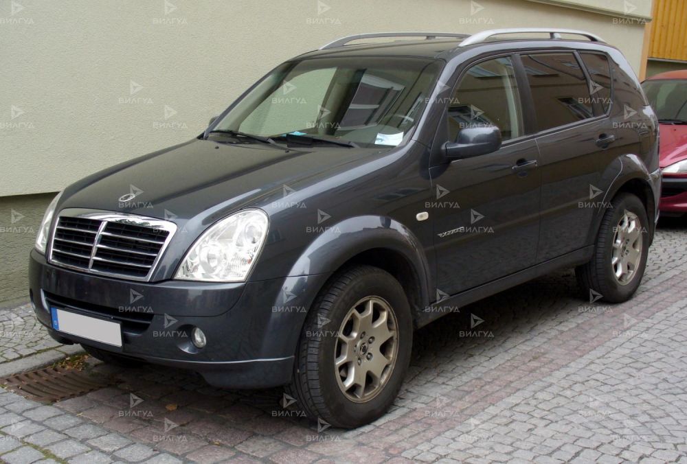Замена дроссельной заслонки Ssangyong Actyon в Красноярске Замена дроссельной заслонки Ssangyong Actyon в Красноярске